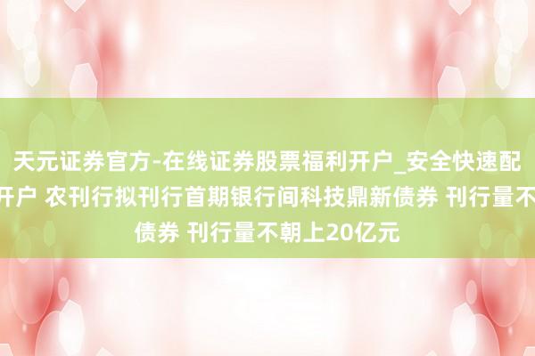 天元证券官方-在线证券股票福利开户_安全快速配资杠杆在线开户 农刊行拟刊行首期银行间科技鼎新债券 刊行量不朝上20亿元