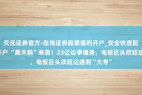 天元证券官方-在线证券股票福利开户_安全快速配资杠杆在线开户 “黑天鹅”来袭!23亿讼事缠身,电板巨头欣旺达遇到“大考”