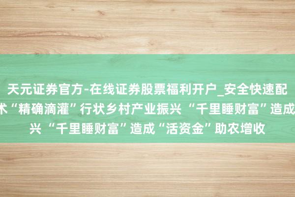 天元证券官方-在线证券股票福利开户_安全快速配资杠杆在线开户 战术“精确滴灌”行状乡村产业振兴 “千里睡财富”造成“活资金”助农增收