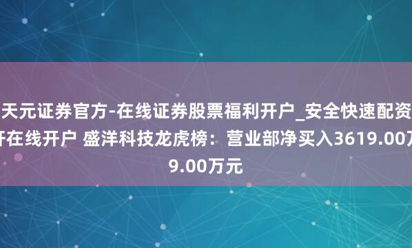 天元证券官方-在线证券股票福利开户_安全快速配资杠杆在线开户 盛洋科技龙虎榜：营业部净买入3619.00万元