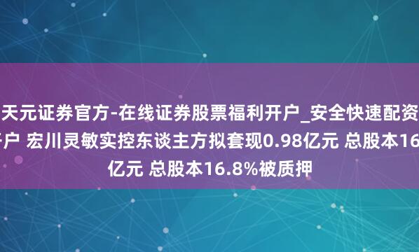 天元证券官方-在线证券股票福利开户_安全快速配资杠杆在线开户 宏川灵敏实控东谈主方拟套现0.98亿元 总股本16.8%被质押