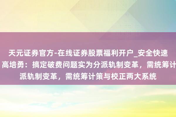 天元证券官方-在线证券股票福利开户_安全快速配资杠杆在线开户 高培勇：搞定破费问题实为分派轨制变革，需统筹计策与校正两大系统